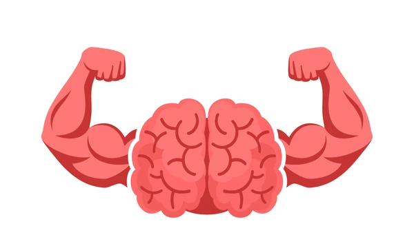 Brain muscle analogy illustration