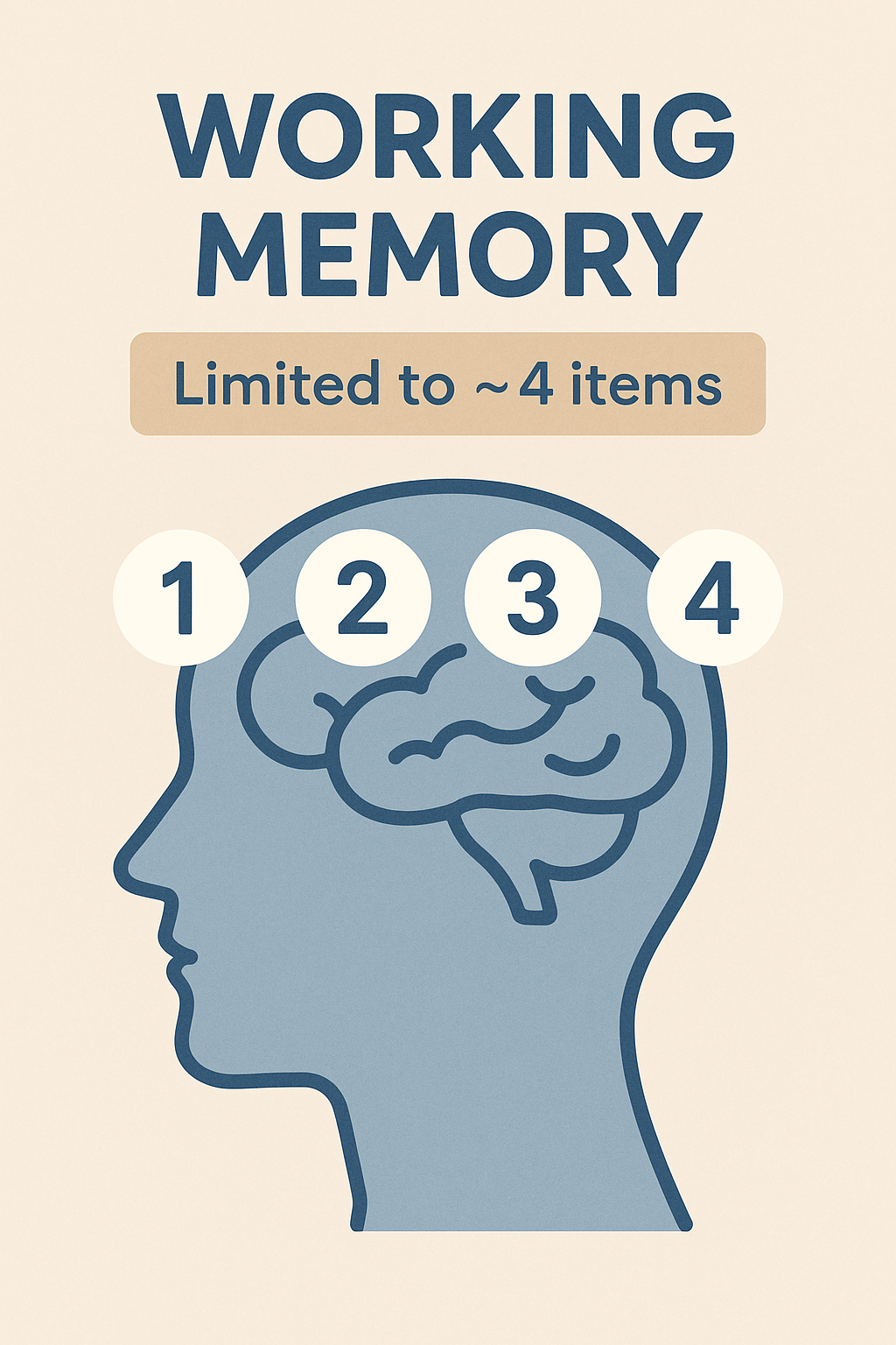 Working memory capacity diagram