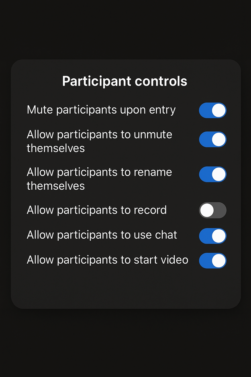 Zoom lecture challenges diagram